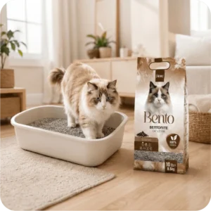 REMU Bento Bentonite Cat Litter – Scented